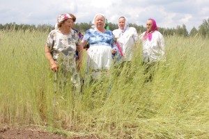 Бабулі