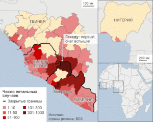 ebola detail